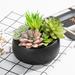 Primrue 2.9" Artificial Succulent Plant in Pot Ceramic/Plastic in Black | 5.3 H x 5.1 W x 5.1 D in | Wayfair 33818EFAE8224F0BB733A9D82B2EBAD4