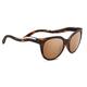 Serengeti Lia Sunglasses, Satin Tortoise/Shiny Champagne Gold, Small