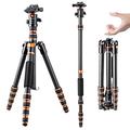 K&F Concept 61" Carbon Fiber Camera Tripod, BA225 Professional Lightweight Compact Tripod with 2 Sections Central Column 360 Degree Ball Head and Carrying Case for Digital Camera/Camcorder