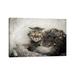 East Urban Home Homeless Cat in a Pile of Leaves by Nik Rave - Wrapped Canvas Photograph Print Canvas | 8 H x 12 W x 0.75 D in | Wayfair