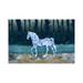 East Urban Home The Mystery Horse - A Woodlands Fantasy by Andreea Dumez - Wrapped Canvas Graphic Art Print Metal | 40 H x 60 W x 1.5 D in | Wayfair
