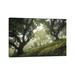 East Urban Home Enchanted Forest by Frans Van Der - Gallery-Wrapped Canvas Giclée Canvas in Black/Gray/Green | 18 H x 26 W x 1.5 D in | Wayfair