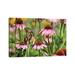 East Urban Home Giant Swallowtail On Purple Coneflower by Richard & Susan Day - Wrapped Canvas Photograph Print Canvas in Green/Pink/Yellow | Wayfair