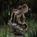 Millwood Pines Ricka Two Tier Log Fountain w/ LED Light, Fiberglass in Brown | 41 H x 19 W x 30 D in | Wayfair 7BB0A245C39E4CFBA1A5AECE24D37B64