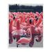 Stupell Industries Funny Pink Flamingo Pool Bird Toys Photograph by Daphne Polselli - Graphic Art - Graphic Art Print in Brown | Wayfair