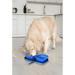 Petique Porta Travel Pet Bowl Melamine in Blue | 5 H x 3 W x 3 D in | Wayfair PD02010000