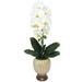 Alcott Hill® Phalaenopsis Orchid Centerpieces in Pot Polyester | 24 H x 11 W x 10 D in | Wayfair FB7D0873D8354CCFB70933659BC91CD9