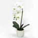 Latitude Run® Phalaenopsis Orchid Centerpieces in Pot Silk/Polyester/Fabric | 22 H x 9 W x 6.5 D in | Wayfair 5C2E470F8D5940B48B8720AF517C7C5A