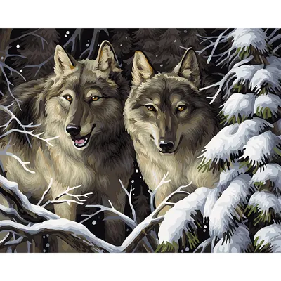 Malen nach Zahlen auf Leinwand Wölfe im Wald, 50 x 40 cm Image