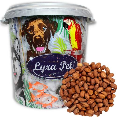 Lyra Pet – 10 kg ® Erdnusskerne mit Haut hk Afrika in 30 l Tonne