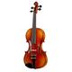 Roth & Junius Europe Student Violin Set 1/4