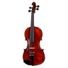 Roth & Junius Europe Antiqued Violin Set 3/4