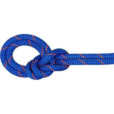 MAMMUT 9.5 Crag Dry Rope, Größe 50 in Blau