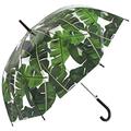 Straight Clear Umbrella (Palm leaf Scarse)