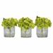 Willa Arlo™ Interiors Hydrangeas Centerpiece in Vase Plastic in Green | 5 H x 5 W x 5 D in | Wayfair C3E7F55AA37145B1AB6EBAADD71B051E