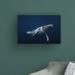 Highland Dunes Humpback Whale in Blue by Barathieu Gabriel - Wrapped Canvas Photograph Print Canvas in Blue/White | 16 H x 24 W x 2 D in | Wayfair