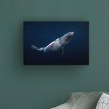 Highland Dunes Humpback Whale by Barathieu Gabriel - Wrapped Canvas Photograph Print Canvas in Black/Blue | 12 H x 19 W x 2 D in | Wayfair