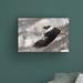 Millwood Pines Stellars Sea Eagle by C S Tjandra - Wrapped Canvas Photograph Print Canvas in Black/Gray/White | 12 H x 19 W x 2 D in | Wayfair