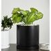 Ebern Designs Finnly Pot Planter Natural Fibers/Composite/Fiberglass/Resin/Plastic in Black | 15.5" H x 15.75" W x 15.75" D | Wayfair