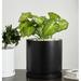 Ebern Designs Finnly Pot Planter Natural Fibers/Composite/Fiberglass/Resin/Plastic in Black | 11.75" H x 11.5" W x 11.5" D | Wayfair