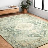 Alexander Home Juliet Floral Ultra-Soft Distressed Oriental Rug