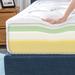 Priage by ZINUS 8 Inch Cloud Memory Foam Mattress