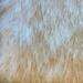 Dynasty Bear Shape Natural Luxury Long Wool Sheepskin Shag Rug