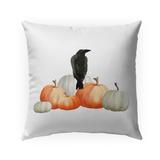 THE CROW Indoor|Outdoor Pillow By Kavka Designs - 18X18