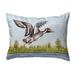 Pintail Duck Small No-Cord Pillow 11x14