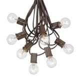 String Lights with 25 Clear Globe Bulbs - Outdoor String Lights - Medium