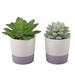 Set of 2 Artificial Plant Succulent IN CERAMIC COLOR BLOCK Pot - ONE-SIZE