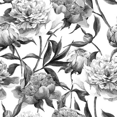 Hand Drawn Peonies Removable Wallpaper - 10'ft H x 24''inch W