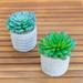 Set of 2 Artificial Plant in Pattern cement pot - ONE-SIZE