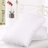 300 Thread Count Goose Feather and Down Pillow (Set of 2)