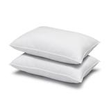Signature Plush Soft Allergy-Resistant Down Alternative Stomach Sleeper Pillow, Set of 2