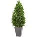 57" Bay Leaf Cone Topiary Tree in Slate Planter UV Resistant (Indoor/Outdoor)