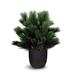 Faux Botanical Pinus in Green Finish 28" Height - 28"H