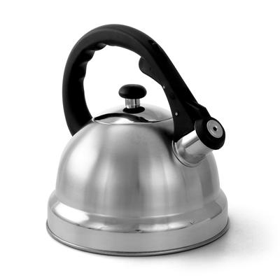 Mr Coffee Claredale 1.7 Quart Stainless Steel Whistling Tea Kettle