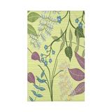 Botanical Floral Print 50 x 60-inch Throw Blanket