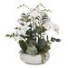 Two Tone White Silk Phalaenopsis Orchids, Succulents, ZZ Plant in Pot - 24W x 24D x 27H