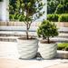 Kayu 2-piece Wavy Design White MgO Planters by Havenside Home