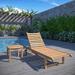 Amazonia Teak Wood 2-piece Outdoor Patio Lounger Set - 2 Piece