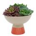 Artificial Plant Succulent Mix in Two Tone Bowl Ceramic Planter - ONE-SIZE