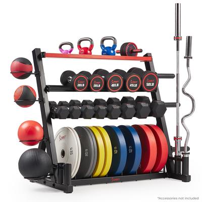 Sunny Health Fitness All-In-One Weights Storage Rack