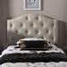 Taylor & Olive Founders Twin Headboard