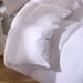 Twin Ducks Canadian Origin White Down Comforter