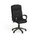 High Back LeatherSoft Executive Swivel Office Chair w/Lip Edge Base & Arms