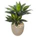34" Double Agave Succulent Artificial Plant in Sand Stone Planter