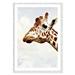 AllModern Grumpy by Nan - Picture Frame Photograph Print on Paper in Brown/Gray/Green | 41.5 H x 29.5 W x 0.88 D in | Wayfair