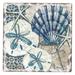 Counterart Absorbent Stone Coasters - Tide Pool Shells - Set of 4 - 4x4x1.040